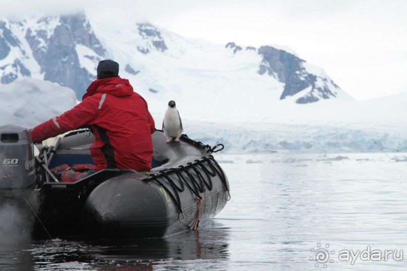 Новый год в Антарктиде с "Клубом путешествий Special". Рассказ Анастасии.