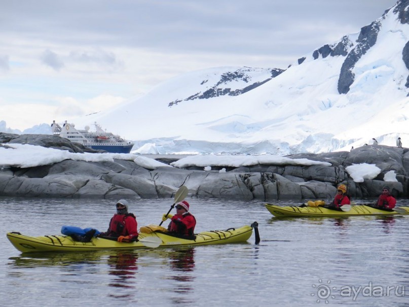 Новый год в Антарктиде с "Клубом путешествий Special". Рассказ Анастасии.