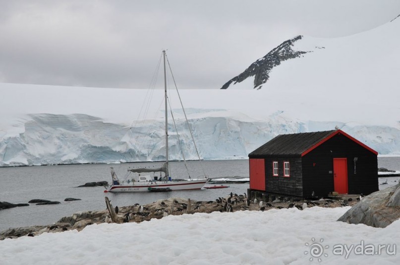 Новый год в Антарктиде с "Клубом путешествий Special". Рассказ Анастасии.