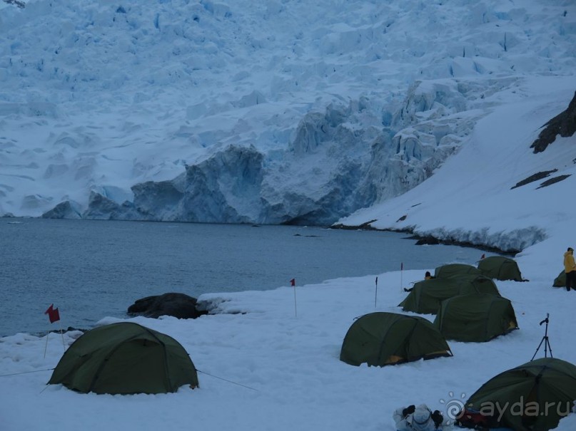 Новый год в Антарктиде с "Клубом путешествий Special". Рассказ Анастасии.