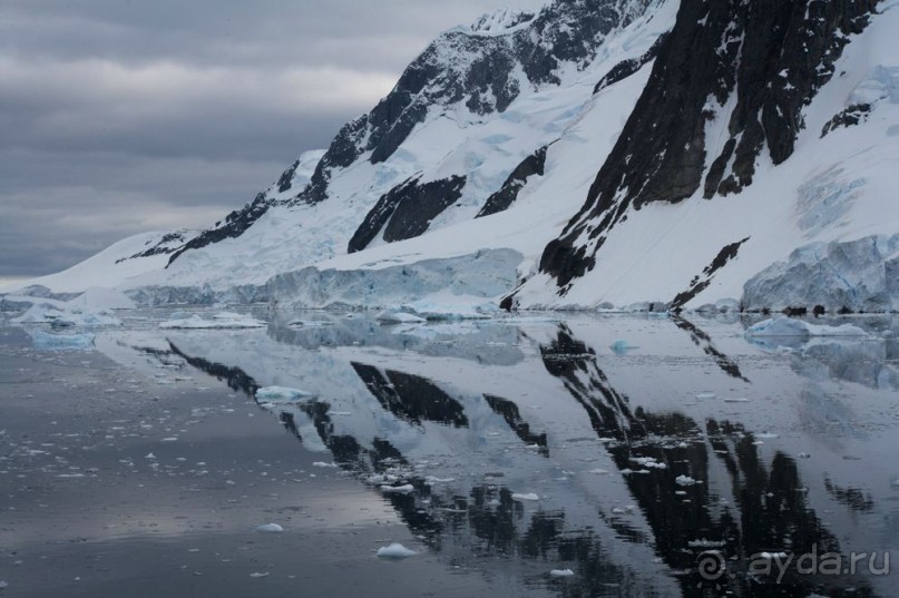 Новый год в Антарктиде с "Клубом путешествий Special". Рассказ Анастасии.