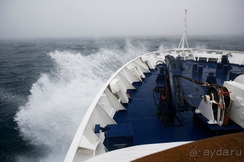 Новый год в Антарктиде с "Клубом путешествий Special". Рассказ Анастасии.