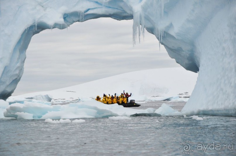 Новый год в Антарктиде с "Клубом путешествий Special". Рассказ Анастасии.