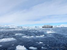 Русские в Антарктиде 