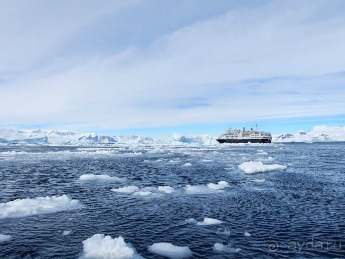 Русские в Антарктиде 