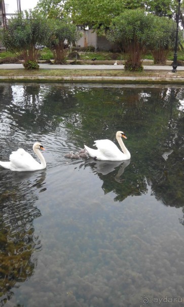 отдых в Афоне