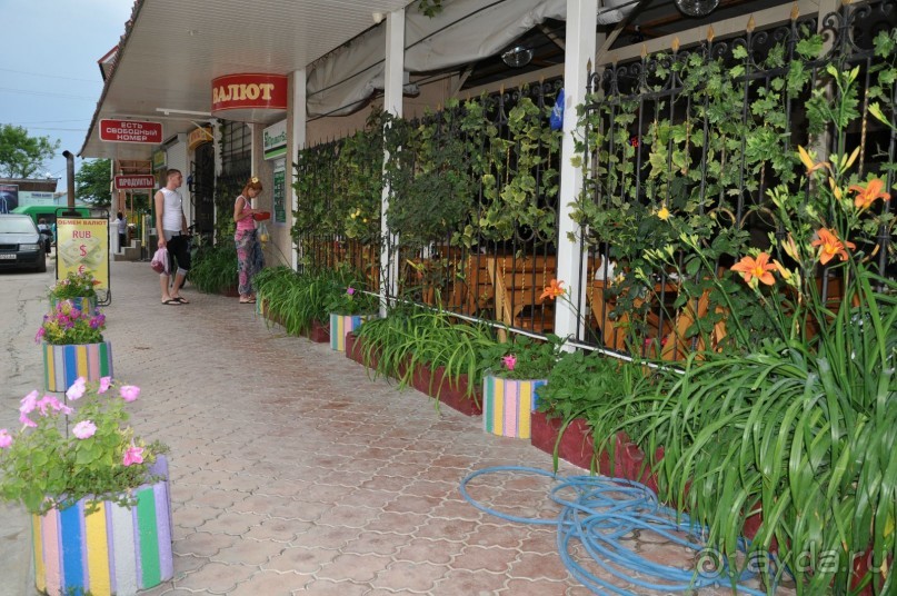 И снова в Николаевку, в "Ирину"