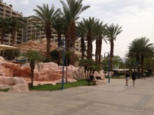 Были в Эйлате в апреле, размещение в гостинице Американа.