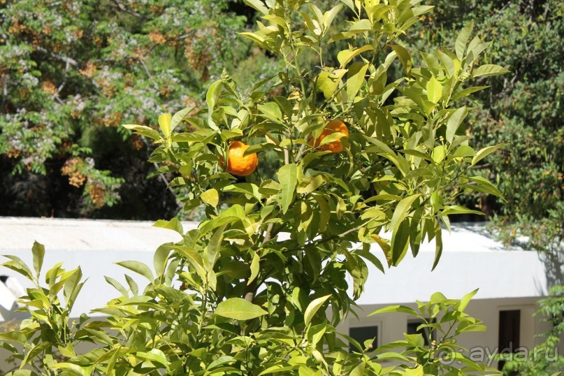 Спокойный семейный отель но явно не 5 звезд 