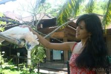 Чудеса острова Бали или как быстро собрать чемоданы на встречу со сказкой