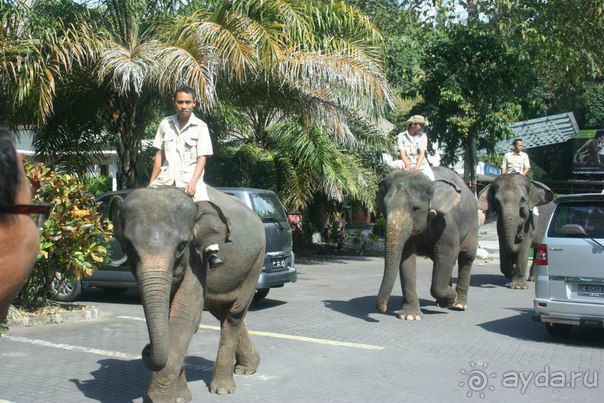 Чудеса острова Бали или как быстро собрать чемоданы на встречу со сказкой