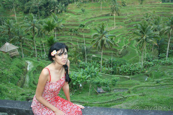Чудеса острова Бали или как быстро собрать чемоданы на встречу со сказкой