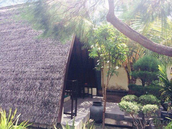 Чудеса острова Бали или как быстро собрать чемоданы на встречу со сказкой