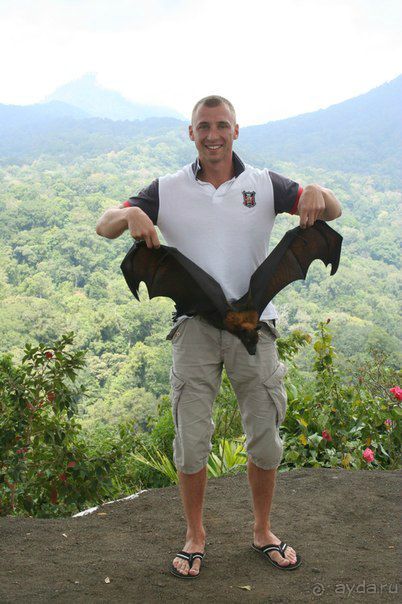 Чудеса острова Бали или как быстро собрать чемоданы на встречу со сказкой