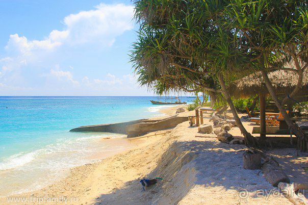 Чудеса острова Бали или как быстро собрать чемоданы на встречу со сказкой