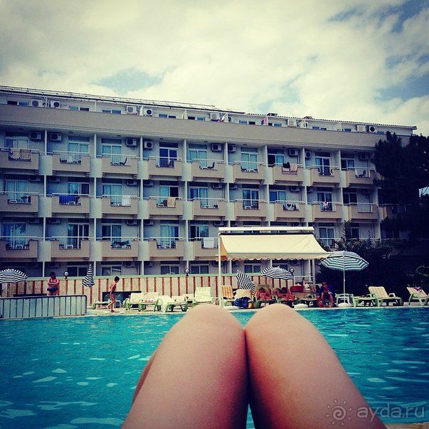 Цена - качество