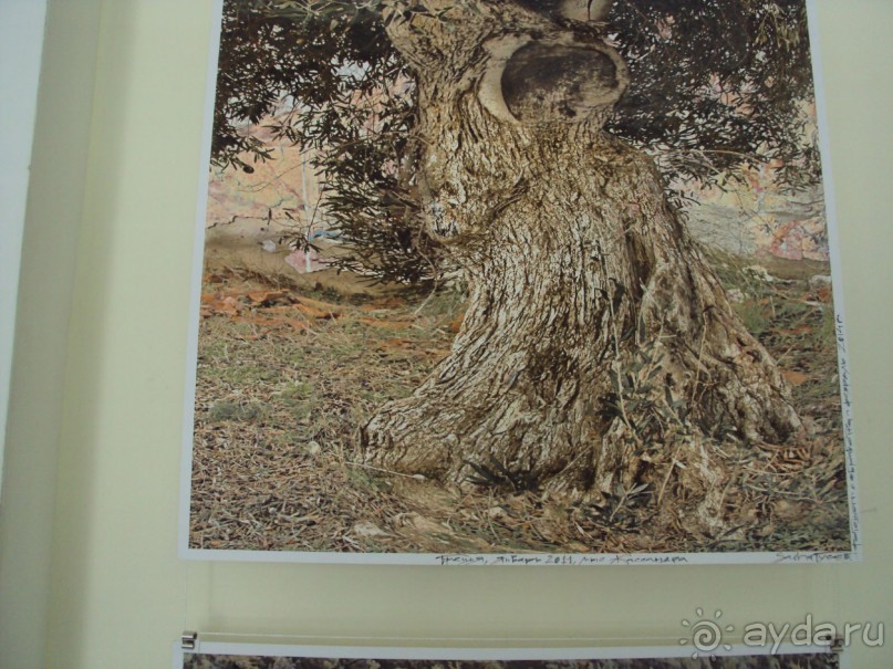  Эстетическое буйство в феодосии