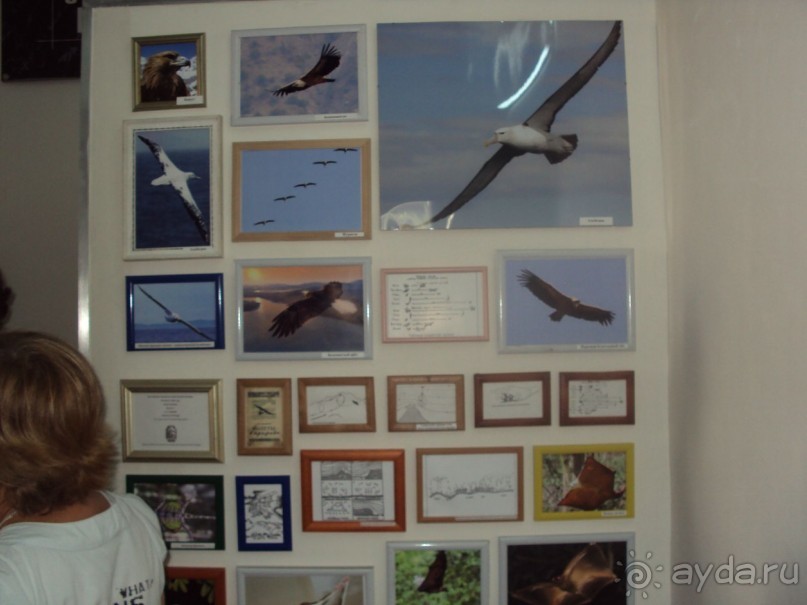 ПАМЯТНАЯ ДОСКА К.К.АРЦЕУЛОВА