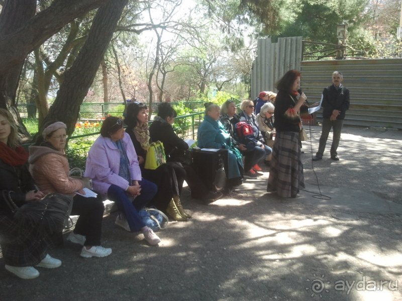 фото Алые паруса