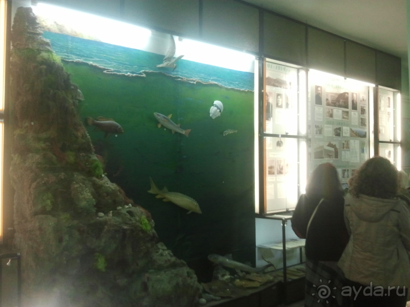  Пушкинские чтения на КАРАДАГЕ