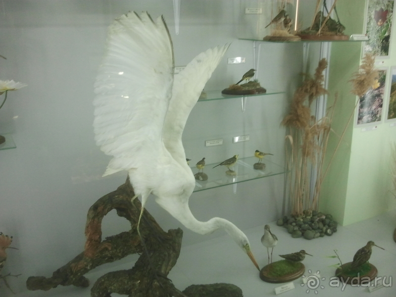  Пушкинские чтения на КАРАДАГЕ