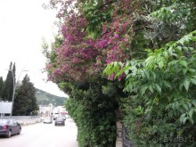 Первый раз вне родины. Черногория.