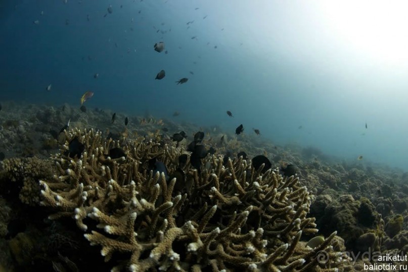 Круиз к трем островам