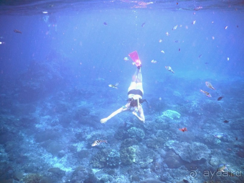 Круиз к трем островам