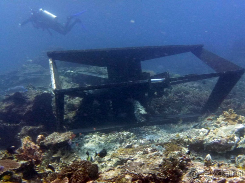 Круиз к трем островам