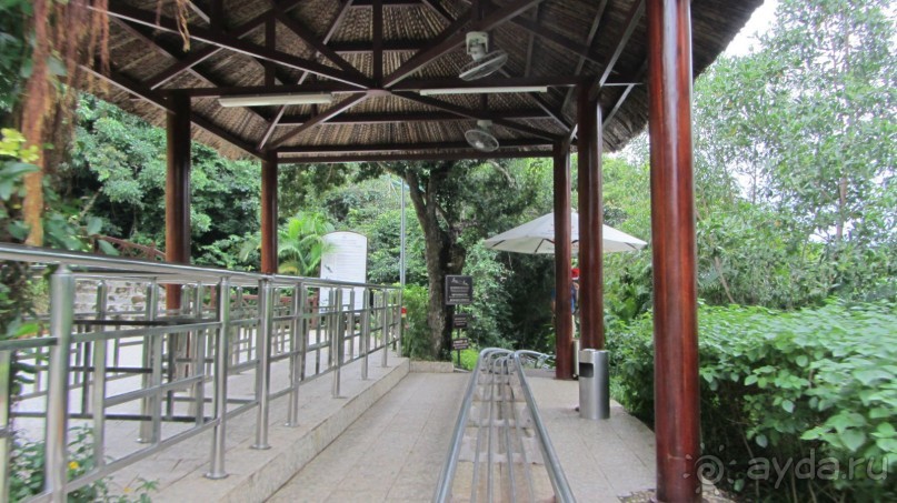 Вьетнам.Винперл.