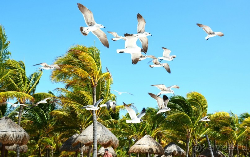 Незабываемая Мексика !!