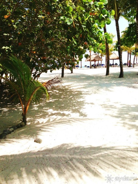 фото Kempinski Hotel Zografski Sofia