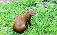 Незабываемая Мексика !!