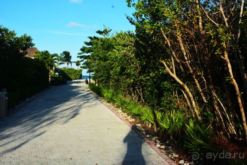 Незабываемая Мексика !!