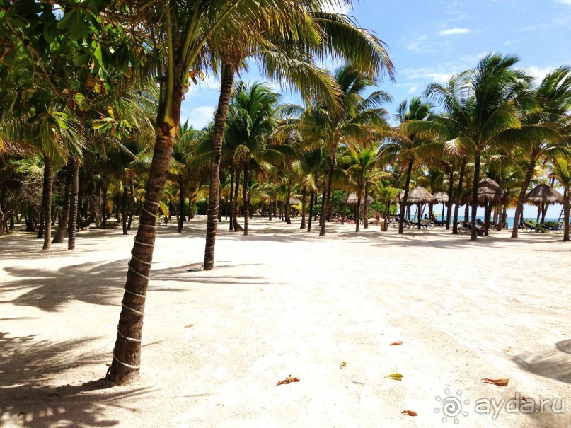 фото Kempinski Hotel Zografski Sofia