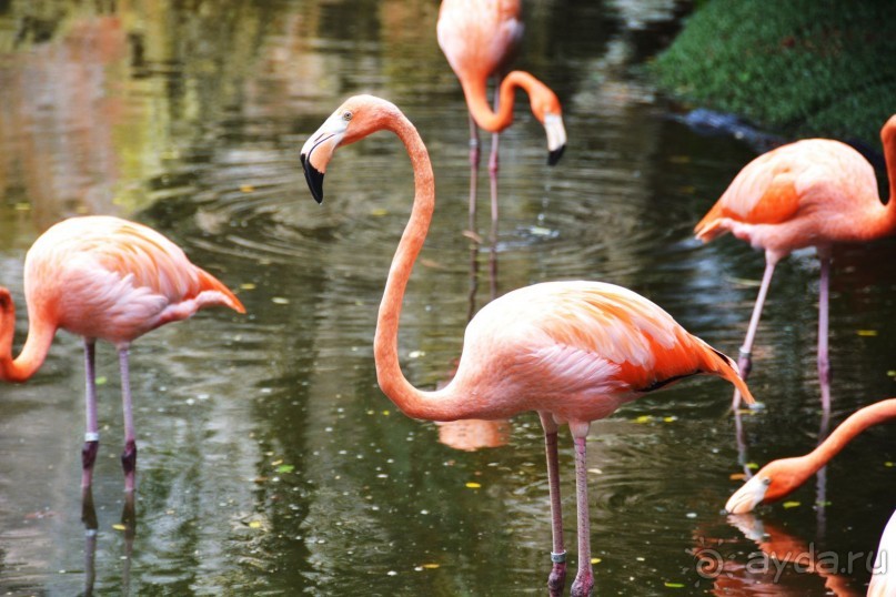 фото Kempinski Hotel Zografski Sofia