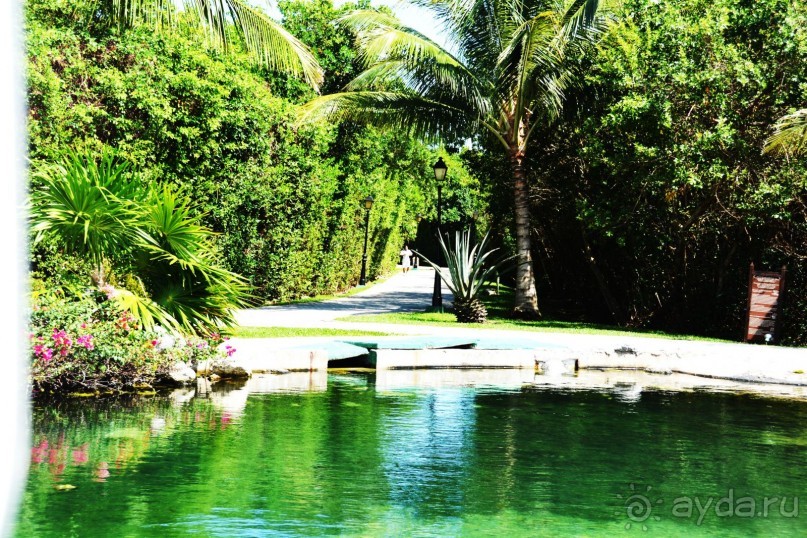 фото Kempinski Hotel Zografski Sofia