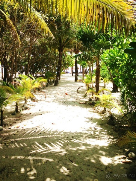 фото Kempinski Hotel Zografski Sofia