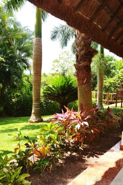 фото Kempinski Hotel Zografski Sofia