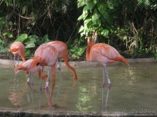 Необыкновенные парки Юкотана