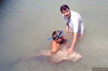 Необыкновенные парки Юкотана