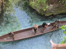 Необыкновенные парки Юкотана