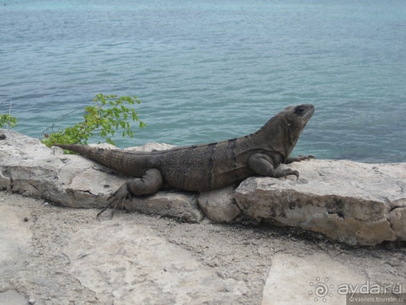 Необыкновенные парки Юкотана