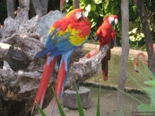 Необыкновенные парки Юкотана