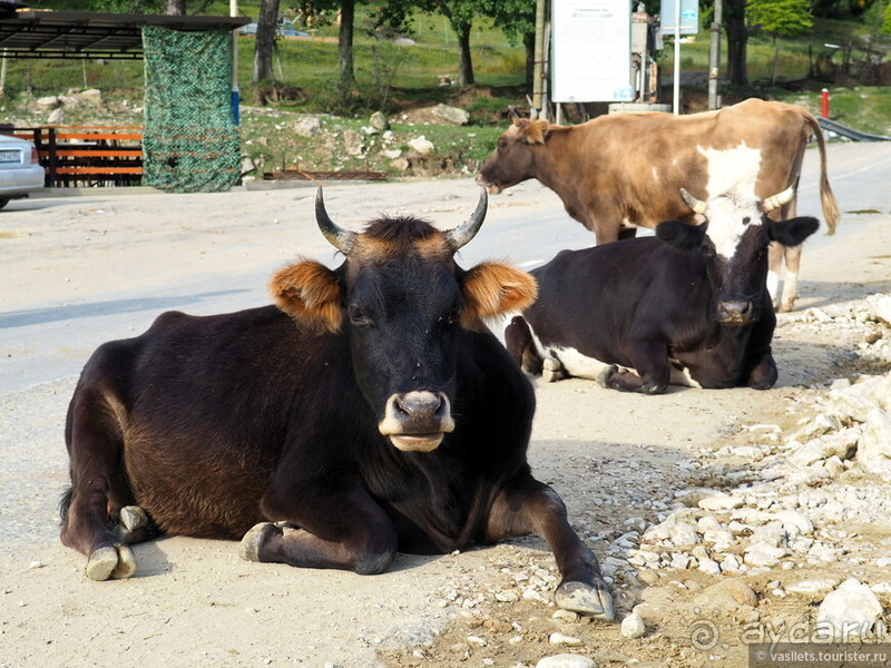 Дагестан 30 лет спустя