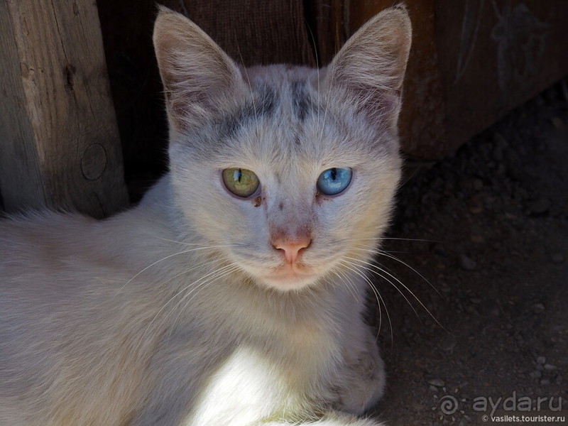 Дагестан 30 лет спустя