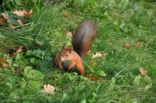 Питер-квест. Пить или не пить?
