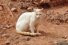 Марокко. Туманная Легзира и МиниСахара