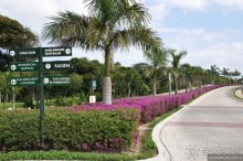 НГ в Мексике... после конца света