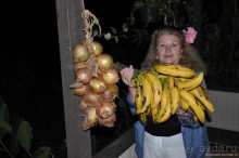 Альбом отзыва "Многоликая Коста-Рика"